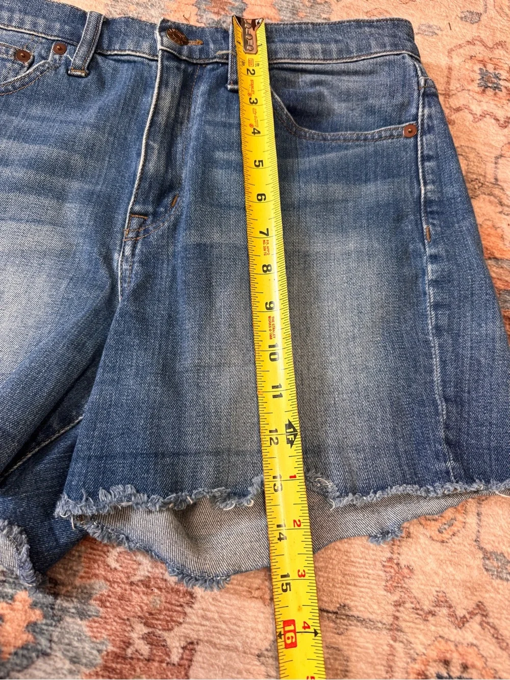 Madewell High Rise Denim Shorts Size 27 Raw Hem Blue Jean Cutoffs